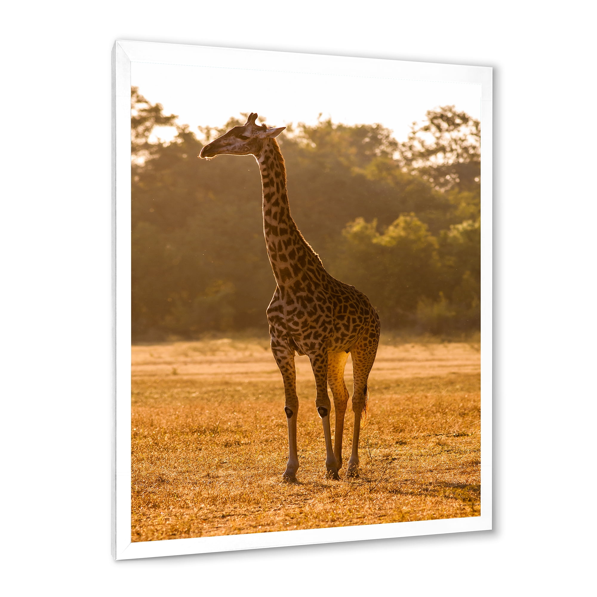 Designart 'African Giraffe In The Wildlife II' Farmhouse Framed Art Print