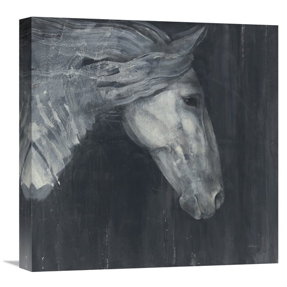Global Gallery Albena Hristova 'Midnight' Canvas Wall Art