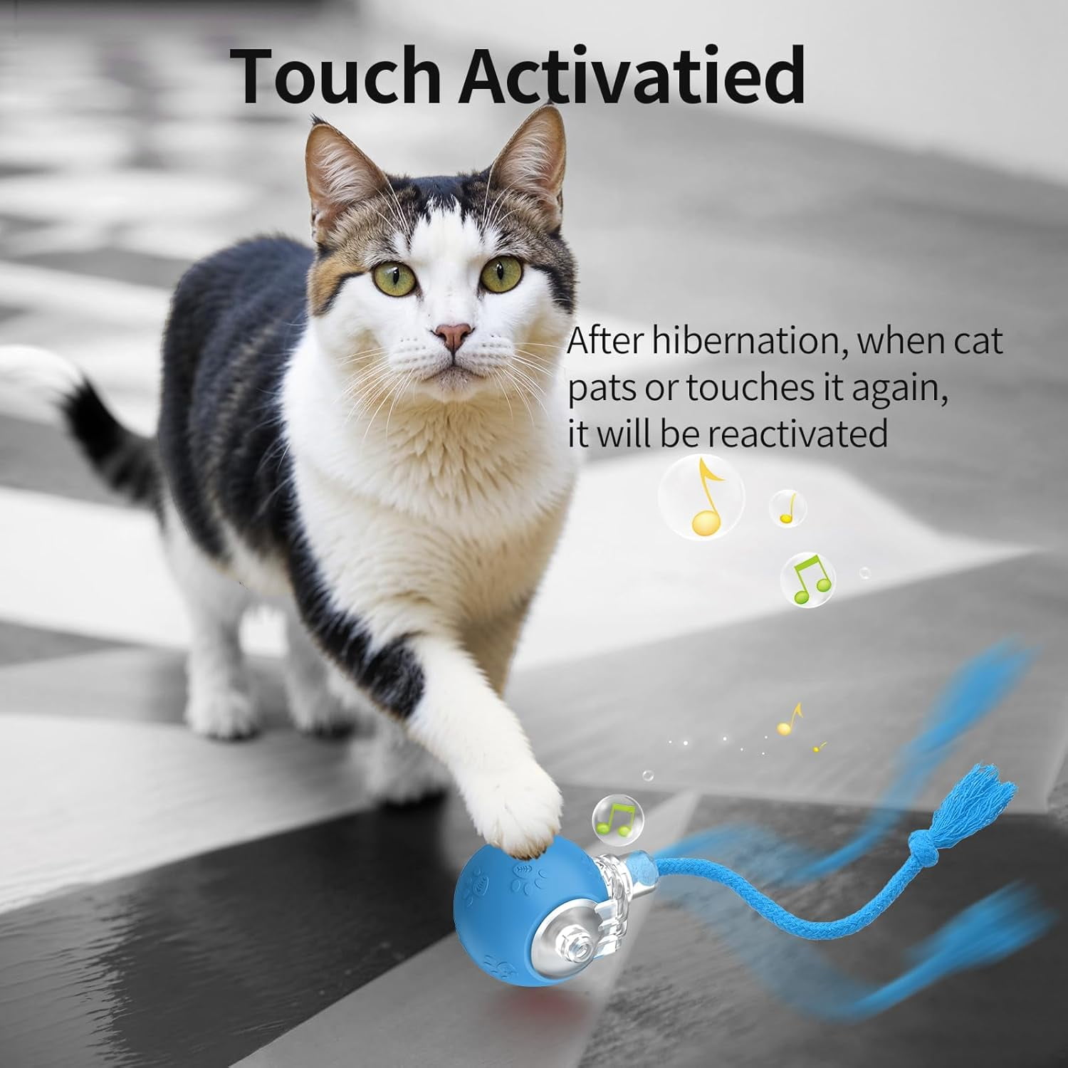 Automatic Rolling Ball Toy for Indoor Cats: Motion-Activated with Chirping, USB Rechargeable Blue Interactive Gift Featuring Speedy Tail 2.0