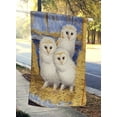 thumbnail image 2 of Carolines Treasures ASA2076CHF Barn Owl Chicks Flag Canvas House Size, 2 of 4