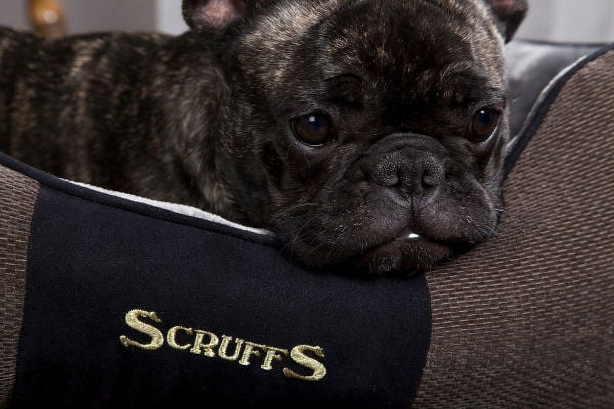 Scruffs® Chester Box Dog Bed, Modern Design, Machine Washable, Super-Soft Plush Pile Lining, Non-Slip Base, Durable Construction (Small) - Graphite Grey
