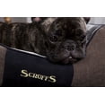 thumbnail image 5 of Scruffs® Chester Box Dog Bed, Modern Design, Machine Washable, Super-Soft Plush Pile Lining, Non-Slip Base, Durable Construction (XL) - Graphite Grey, 5 of 8