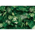 thumbnail image 4 of SUNOLIFE 6x4ft,Tropical Jungle Backdrops,Summer Palm Leavese Photography Background Green Botanical Party Backdrop Banner, 4 of 4
