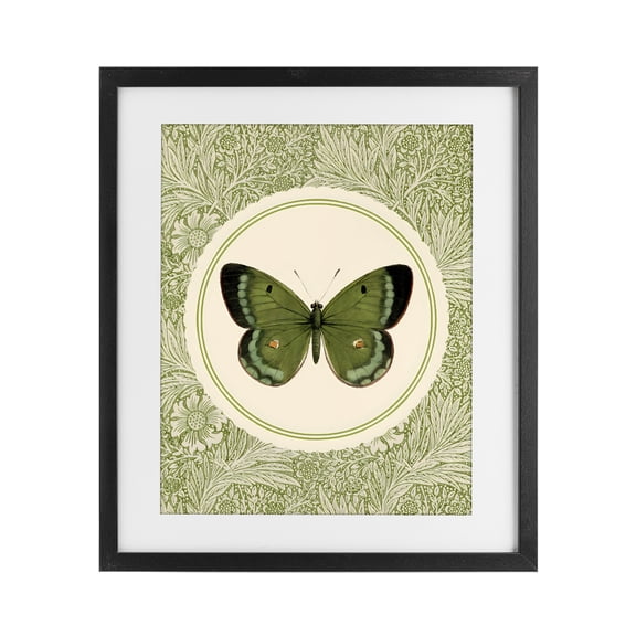 Stupell Industries Shabby Chic Green Butterfly Botanical Medallion Black Framed Print Under Glass, 13 x 16, by LSR Design Studio