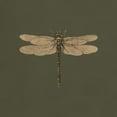 thumbnail image 3 of CafePress - Dragonfly Vintage T Shirt - Men's Classic Graphic Cotton T-Shirt, 3 of 4