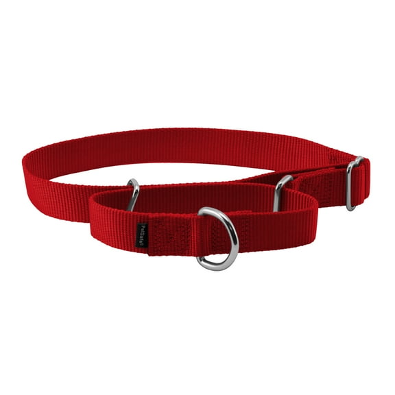 PetSafe Martingale Dog Collar, Greater control and reduce the risk of slipping out, Large, 1 in, Red