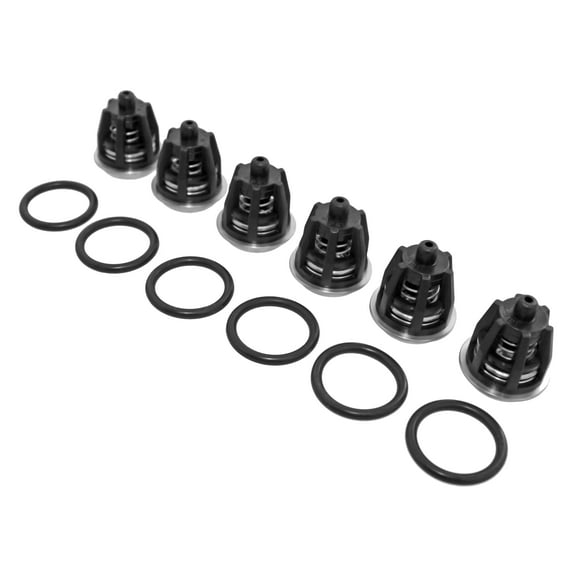 General Pump Check Valves Kit 1 K01 Interpump Mi-T-M 70-0009 700009 EZ TP Pumps