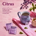 Yogi Tea Elderberry Lemon Balm Immune Plus Stress, Organic Tea Bags, 4