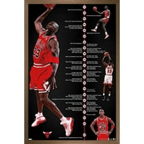 Michael Jordan - Timeline Wall Poster, 22.375" x 34", Framed
