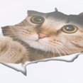 thumbnail image 3 of Billuyoard Pegatinas decorativas de pared 3D de gato bonito de dibujos animados pegatinas de cubierta de de baño 21*29cm Juegos de accesorios de baño, 3 of 6