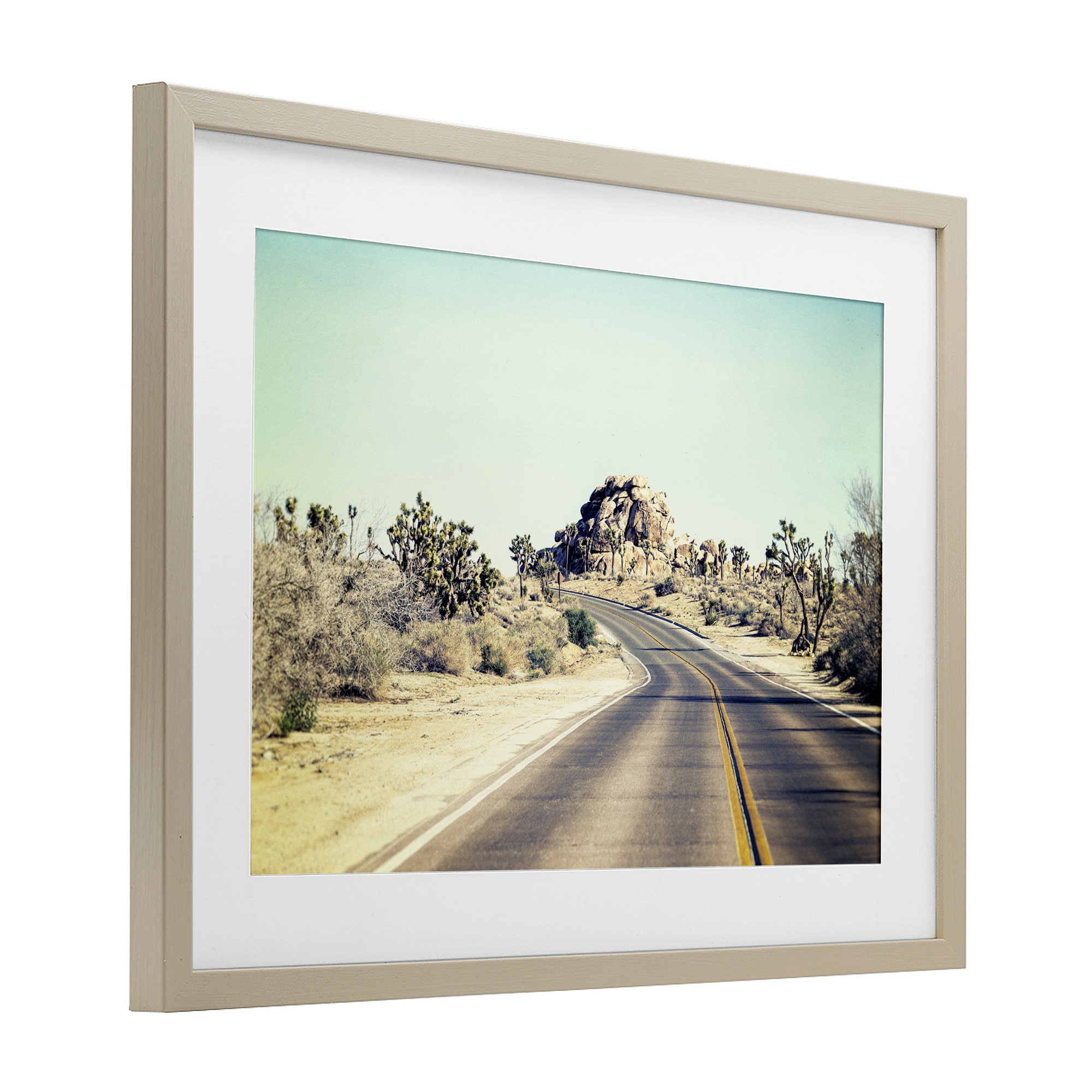 Road Trip Joshua Tree Park Birch Framed Print Under Glass, design by Joseph S Giacalone