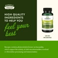 thumbnail image 5 of Swanson Bacopa Monnieri Extract Bacognize 250 Milligrams 90 Capsules, 5 of 7