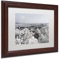 thumbnail image 2 of Trademark Fine Art "White Nature" Canvas Art by Philippe Hugonnard, White Matte, Wood Frame, 2 of 4