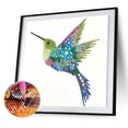 thumbnail image 1 of Cuadros Decorativos Kit de póster de colibrí con pintura de diamante en forma especial parcial 5D (UP263) Tmvgtek embutido en tela, 1 of 9