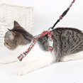 thumbnail image 3 of Cat Harness With Lead, Adjustable Harness Lead Set For Cat Kitten Small Pet, 3 of 5