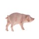 thumbnail image 4 of s de animales de cerdo de granja, modelo de simulación realista, juguete educativo de aprendizaje Zulema  Figura de juguete de estatuilla de cerdo, 4 of 6