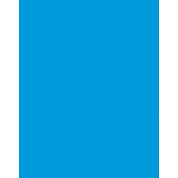 Coated Poster Board, 22" x 28", Blue, Pack of 25