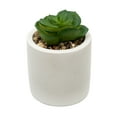 thumbnail image 6 of Mainstays by Becky G. & Alejandra 5.5" Artificial Succulent Plants in Blue, Green & White Modern Ceramic Planters (3 Count), 6 of 11