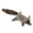 A005- Color E, variant on Plush Squirrel Dog Toy with Built - in Squeaker - Durable Chew - Resistant Design, Soft Plush Material for Interactive Play, Indoor/Outdoor Use - For Puppies, Small to Medium Dogs, Teething, Playtime