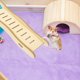 thumbnail image 5 of Juguete de escalera para hámster Juguete de madera para hámster Jaula para mascotas Escalera para hámster Adorno para jaula para hámster, 5 of 6
