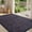 Purple, variant on SIXHOME Door Mats for Inside 24"x35" Non Slip Rubber Welcome Mat for Inside Low-Profile Dirt Trapper Indoor Door Mats for Entryway Soft Absorbent Washable Entry Rug Floor Mats Modern Doormat Gray