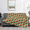 thumbnail image 2 of Fuzoiu Geometric Watermelon Print Flannel Blanket,Throw Blanket,Flannel Home Decor,Fleece Bed Blankets,Cozy Soft Blanket for Bed, Sofa, Camping, and Travel-80"x60", 2 of 6