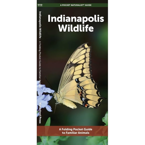 Nature Observation North America Indianapolis Wildlife, (Paperback)