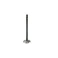 thumbnail image 2 of DNJ IV861 Intake Valve Fits Cars & Trucks 09-13 BMW 335d X5 3.0L L6 DOHC 24v, 2 of 5