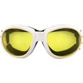 thumbnail image 1 of 2 pares de gafas Birdz Eagle Motorcycle Skydiving acolchado Birdz Birdz, 1 of 2