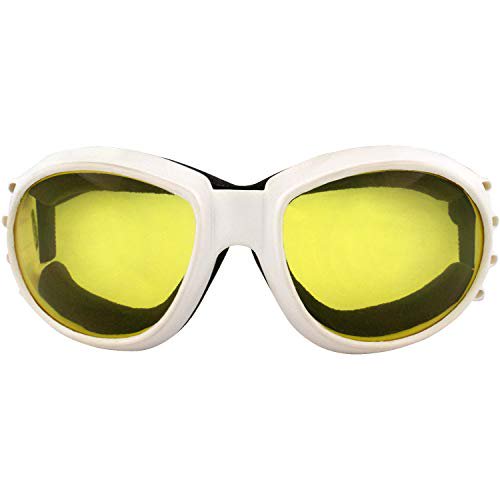 2 pares de gafas Birdz Eagle Motorcycle Skydiving acolchado Birdz Birdz