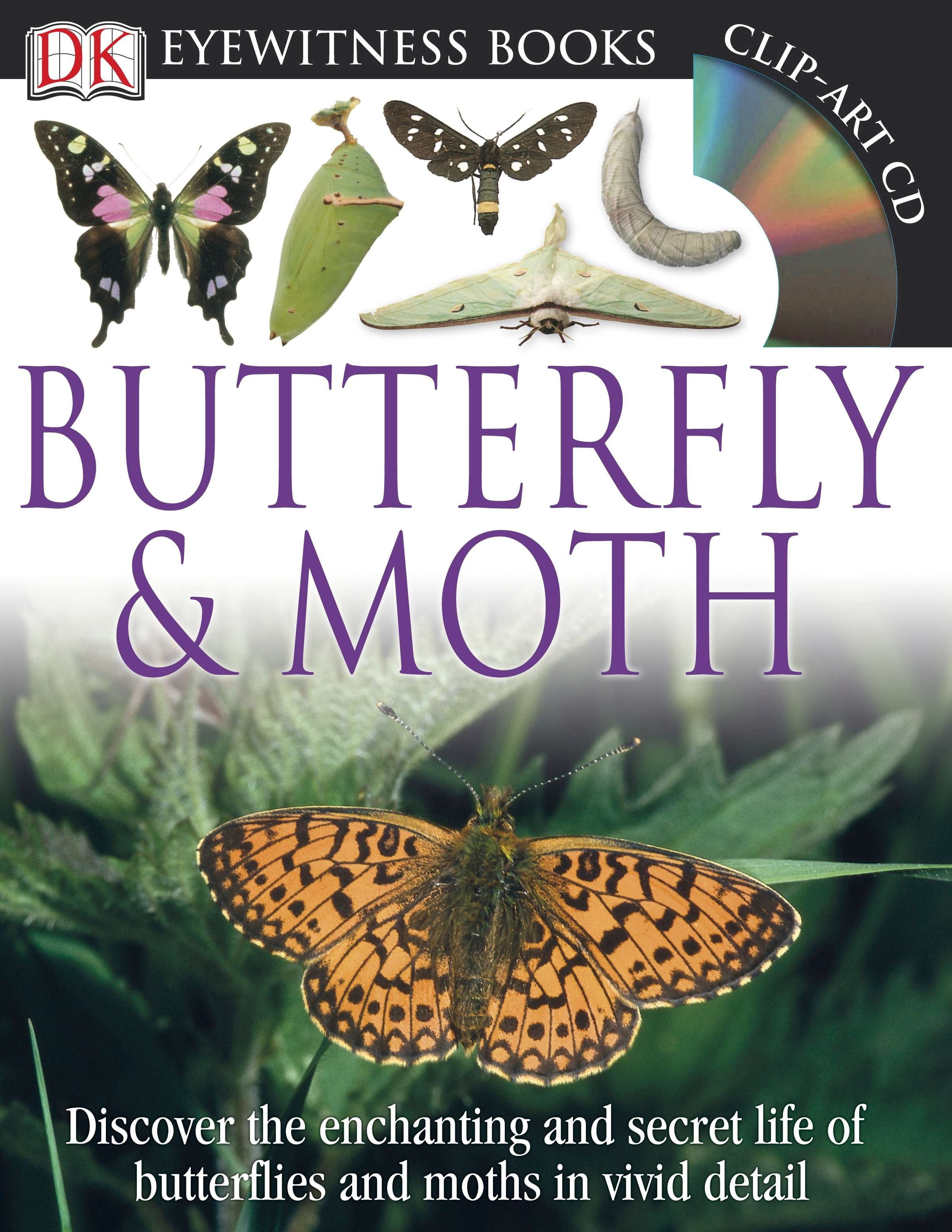 DK Eyewitness Books Butterfly and Moth Discover the Enchanting and