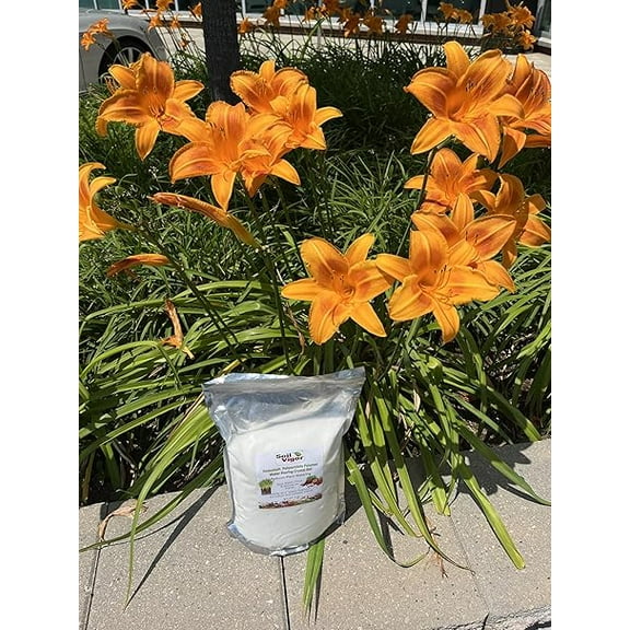 Improve Your Lawn and Garden with Soil Vigor for Long-Term Hydration and Nourishment! 2 Pounds