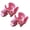 Pink(2pcs), variant on 2 Pcs Grey 2‑in‑1 Universal Stroller Cup & Phone Holder - Universal for Baby Strollers & Wagons, Bikes, Wheelchairs, Scooter & Shopping Cart