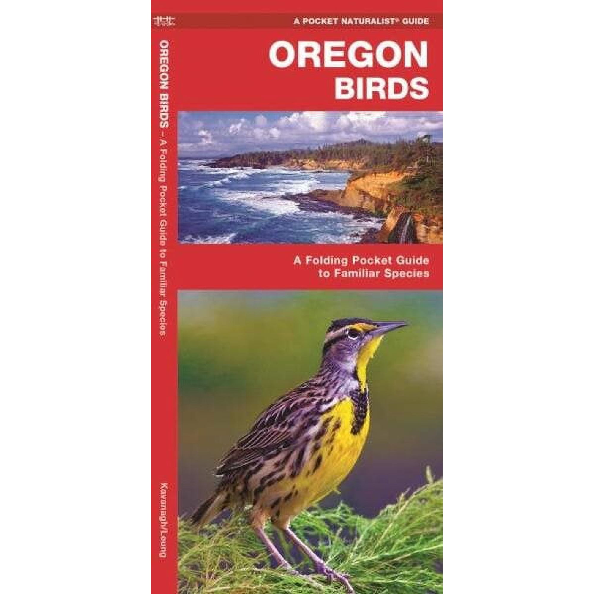 Pocket Naturalist Guides: Oregon Birds: A Folding Pocket Guide to Familiar Species (Other)