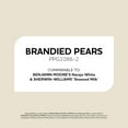 thumbnail image 6 of Glidden Fundamentals Brandied Pears / Beige Satin Exterior Paint, 1 Quart, 6 of 11