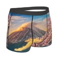 thumbnail image 3 of Kll Fuji Mountain And Cherry Blossoms In Spring Men'S Cotton Boxer Briefs Underwear-Large, 3 of 9