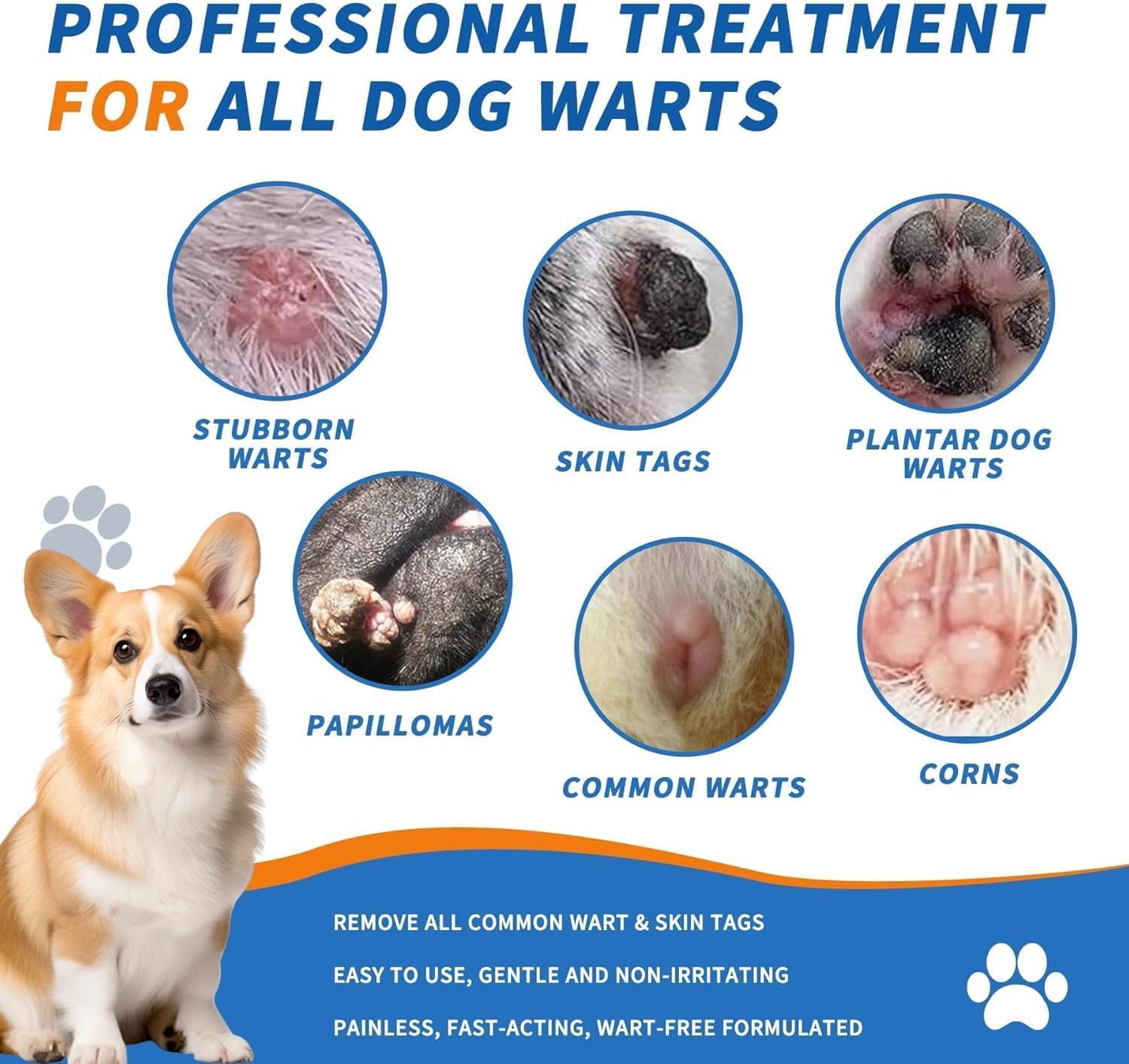 Growth Dog Has Wart On Leg Sale Dog Has Wart Like Growth On Back