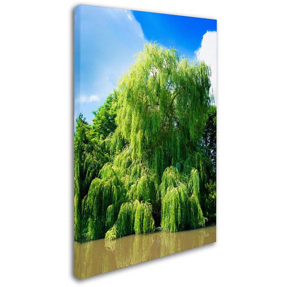 Trademark Fine Art "Weeping Willow" Canvas Art by Philippe Sainte-Laudy