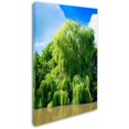 thumbnail image 2 of Trademark Fine Art "Weeping Willow" Canvas Art by Philippe Sainte-Laudy, 2 of 3