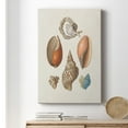 thumbnail image 6 of Knorr Shells & Coral I Premium Gallery Wrapped Canvas - Ready to Hang, 6 of 9