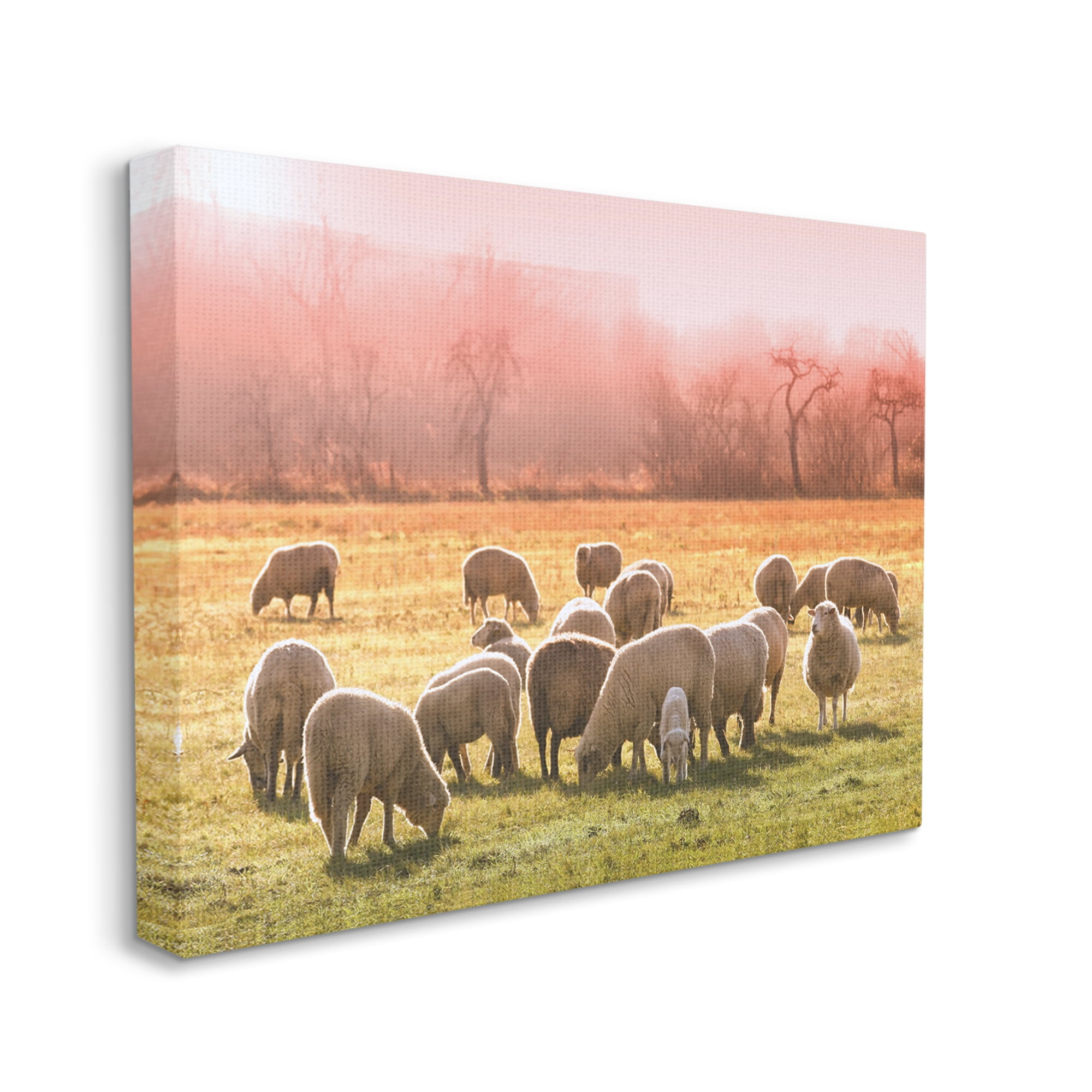 Stupell Industries Sheep Herd Grazing Warm Pink Sunset Rural Grassland Photograph Gallery Wrapped Canvas Print Wall Art, Design by Daphne Polselli