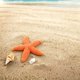 thumbnail image 5 of Paquete de 20 decoraciones de estrella de mar, decoración de mini estrella de mar de PVC de 0.9" para acuario/decoración de pecera/playa [Naranja], 5 of 6