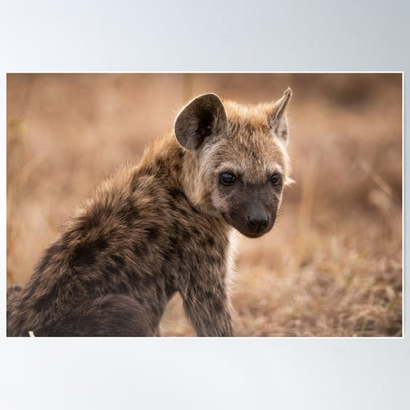 Baby Hyena Poster Wall Art, Modern Wall Decor For Living Room Bedroom, 8x12 UNFRAMED