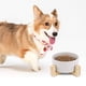 thumbnail image 2 of Cuenco de cerámica para perros y gatos con soporte de bambú antideslizante, 2 of 8