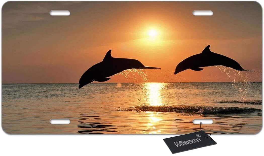 YiiHaanBuy Dolphins License Plate Front Decorative License Plate Dolphin Sunset Jumping,Vanity Tag,Metal Car Plate,Aluminum Novelty License Plate,6 X 12 Inch 4 Holes 