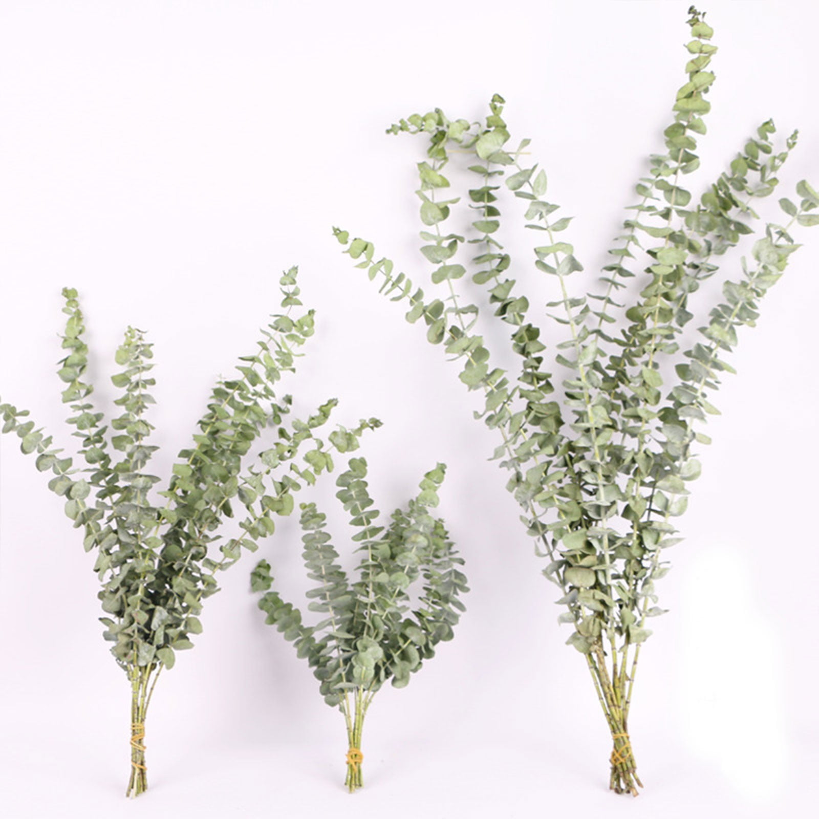 Xoxingysm Artificial Flowers Leaves Leaves Art Leaves Home Decoration Dried Flowers, Olive Leaves *1 Bunch