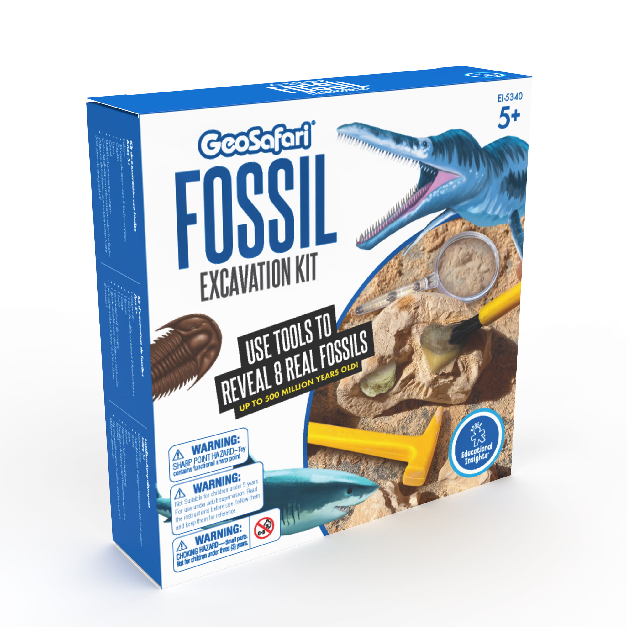 Fossil Box With Study of Fossils Booklet Ideal For The Junior Collector Starter 