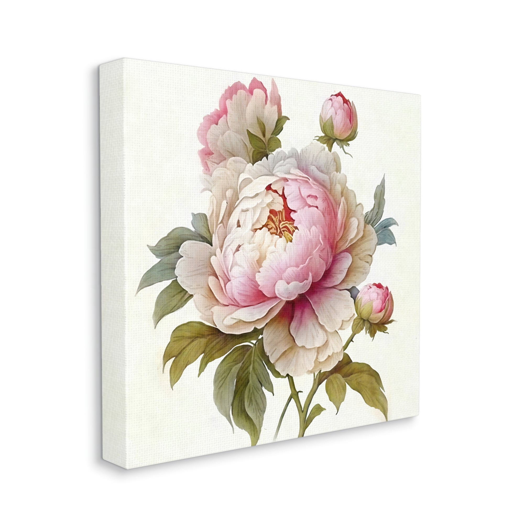 Stupell Industries Detailed Pink Peony Flower Buds Botanical & Floral Painting Gallery Wrapped Canvas Print Wall Art