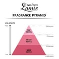 thumbnail image 5 of Perfume Creation Lamis Pure Black Eau de Toilette para hombre 100 ml, 5 of 5
