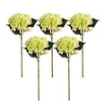 thumbnail image 1 of maskred 5pcs For DIY Durable - Artificial Flower Set For Craft Enthusiasts Non-toxic Realistic Appearance Pets Friendly Green, 1 of 6